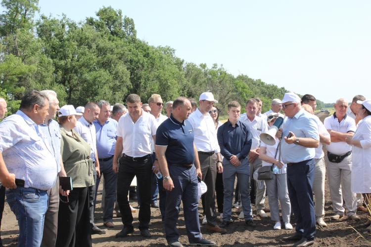 Meeting of the operational headquarters for harvesting grain and leguminous crops