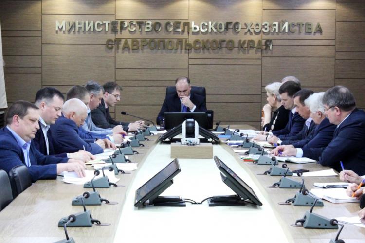 Scientists of the Stavropol State Agrarian University have identified reserves for the development of dairy farming in the region