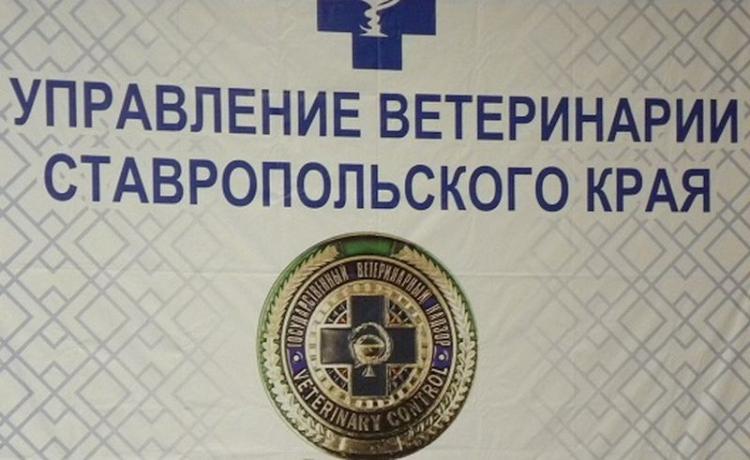 В Управлении ветеринарии Ставропольского края обсудили ситуацию по гриппу птиц 