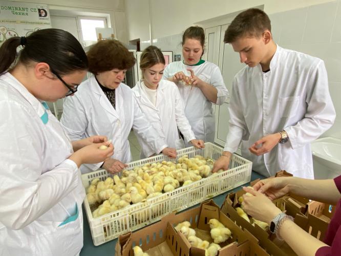 Research in the vivarium as part of the Priority 2030 program