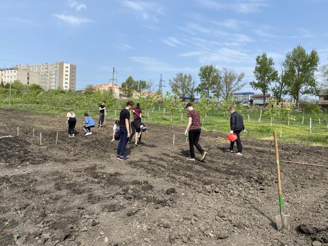 Закладка питомника «Лекарственных, эфиромасличных и декоративно-цветочных культур»