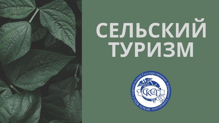 Молодые ученые СтГАУ работают над созданием мобильного приложения для путешествий по сельской местности