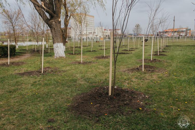 Ставропольский государственный аграрный университет принял участие в акции «Сад Памяти» 