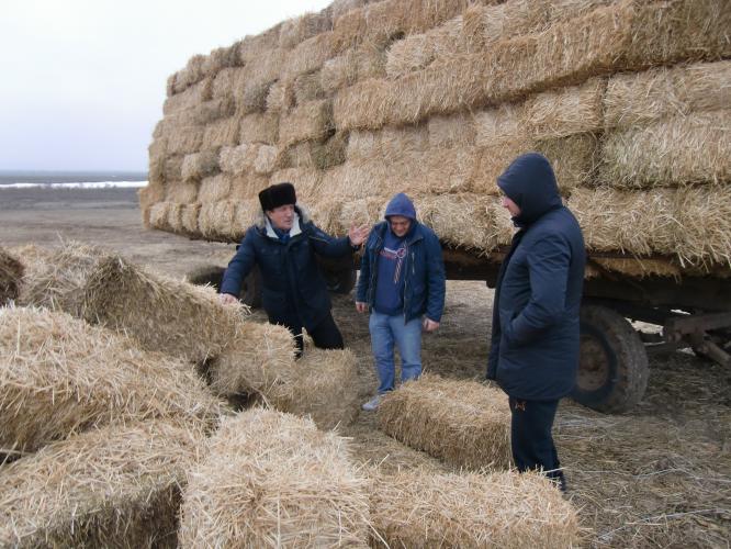 КОНСУЛЬТАТИВНАЯ ПОМОЩЬ ПРОИЗВОДСТВУ