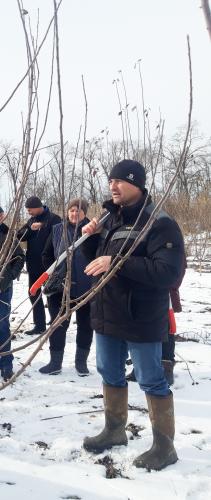 Associate Professor of SSAU took part in a scientific and practical seminar on pruning fruit crops