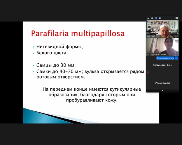 Интерактивное занятие «Выступление в качестве обучающего» на факультете ветеринарной медицины