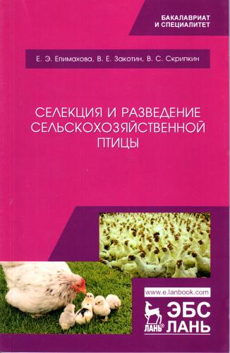 «В НОВЫЙ ГОД С НОВЫМИ ЗНАНИЯМИ»